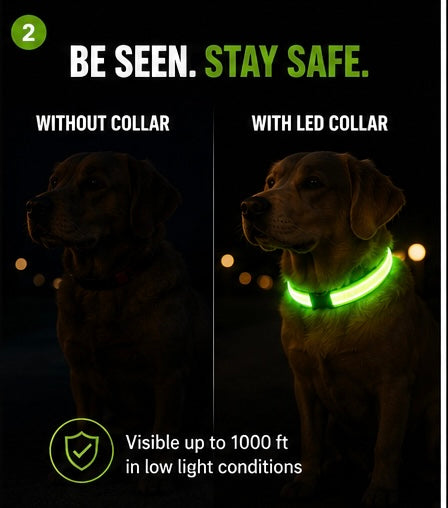 LED Dog Collar