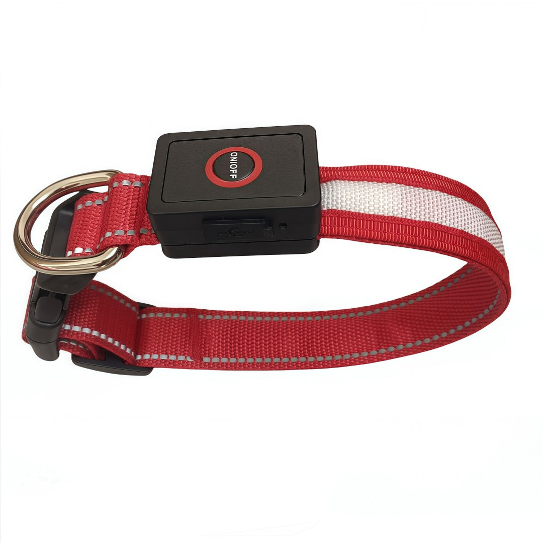 LED Dog Collar