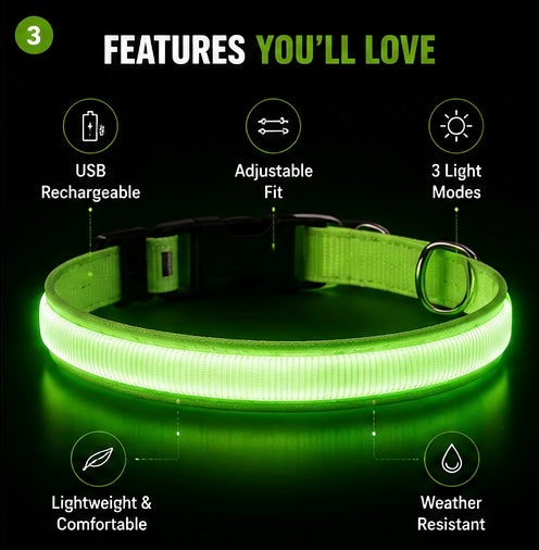 LED Dog Collar