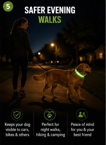LED Dog Collar