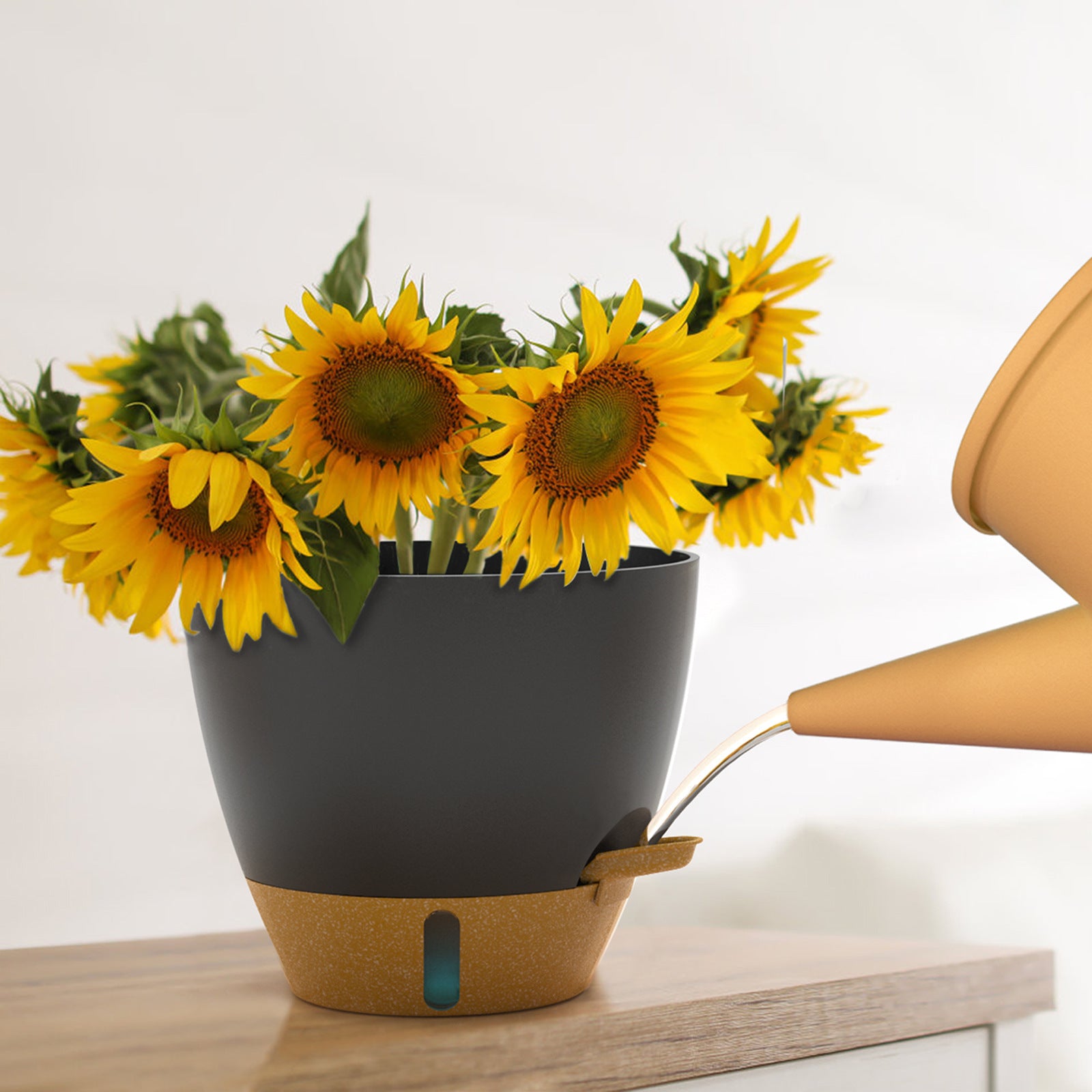 Self-Watering Plant Pots for Indoor and Outdoor Use