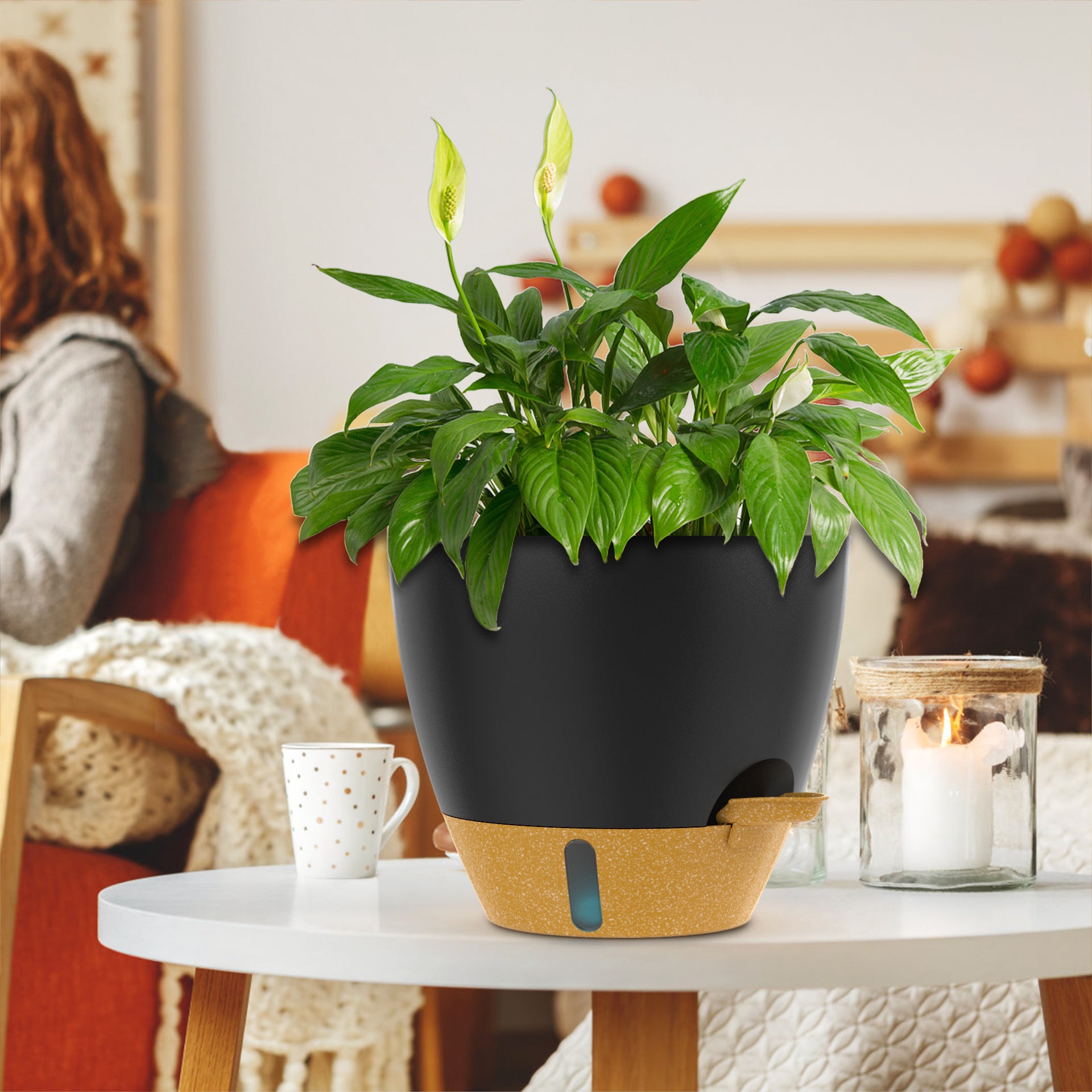 Self-Watering Plant Pots for Indoor and Outdoor Use
