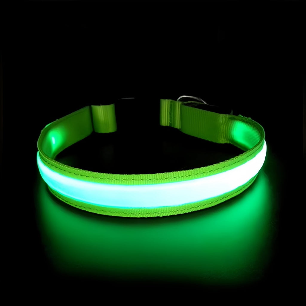 LED Dog Collar