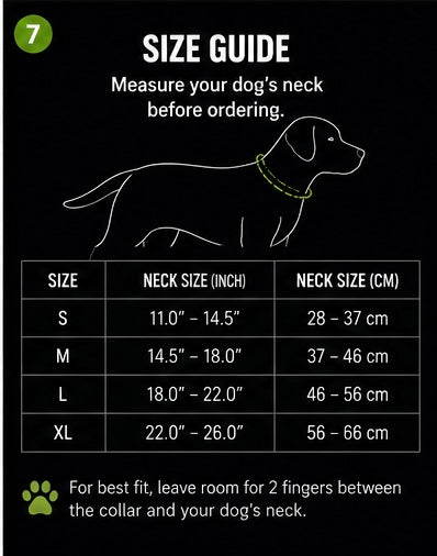 LED Dog Collar