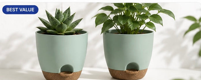 Self-Watering Plant Pots for Indoor and Outdoor Use