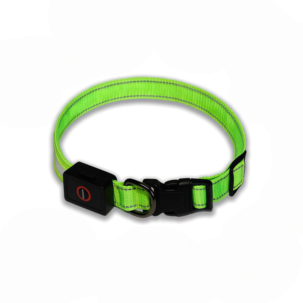 LED Dog Collar